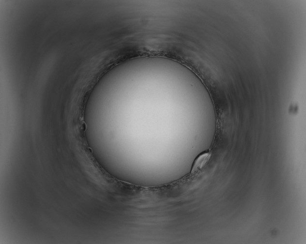 X0000103261009200809051438