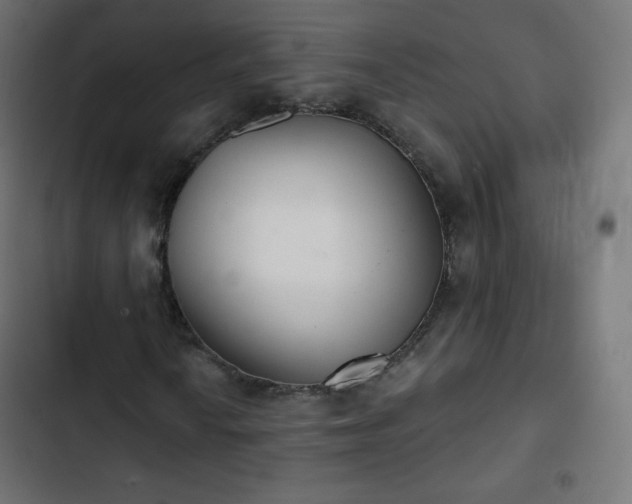 X0000103261010200809051438