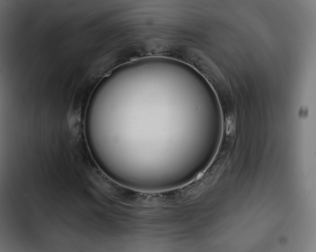 X0000103261011200809051438