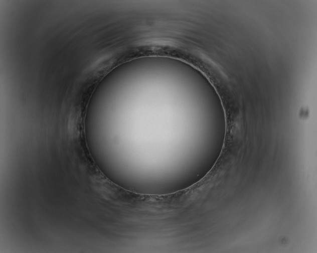 X0000103261014200809051438