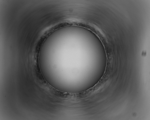 X0000103261016200809051438