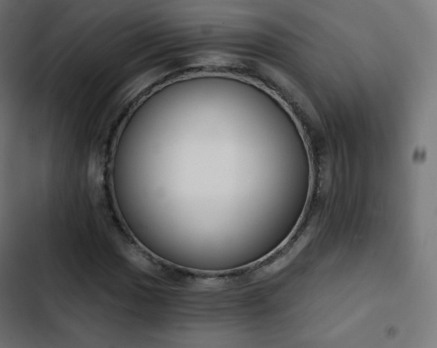 X0000103261017200809051438