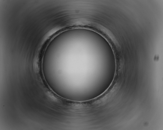 X0000103261018200809051438