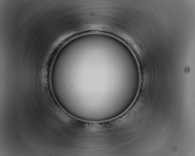 X0000103261019200809051438