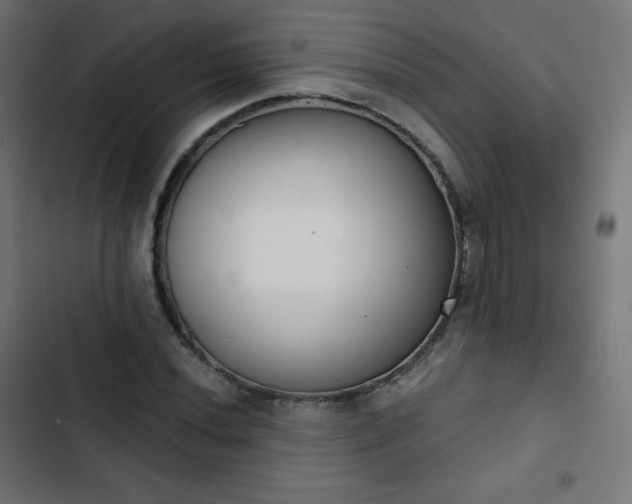 X0000103261020200809051438