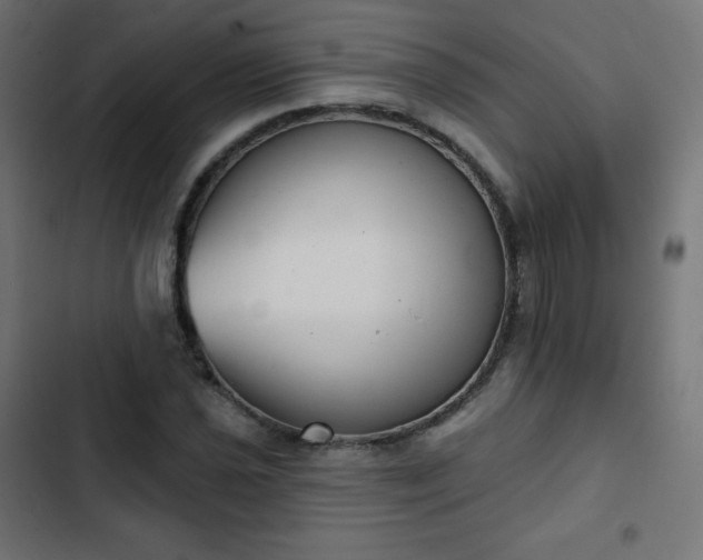 X0000103261021200809051438