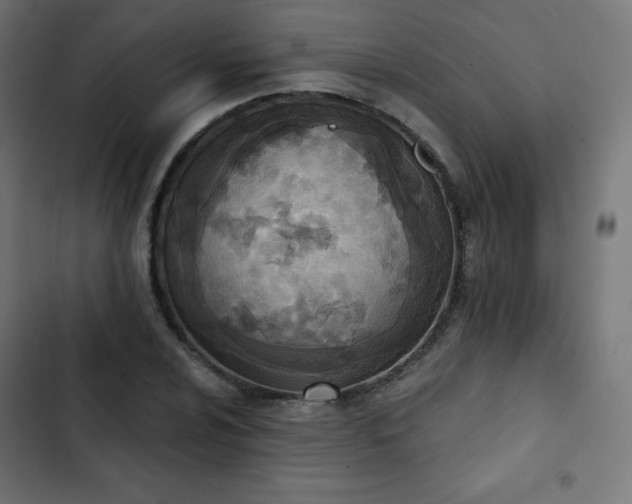 X0000103261024200809051438