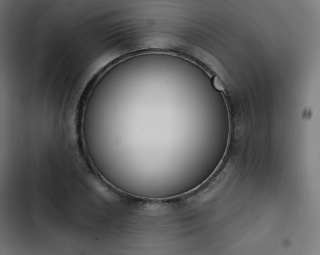 X0000103261026200809051438