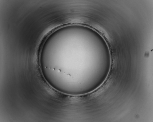 X0000103261027200809051438