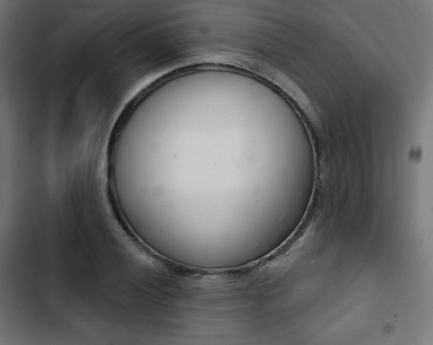 X0000103261028200809051438