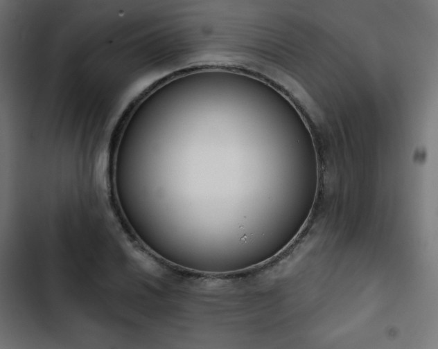 X0000103261030200809051438