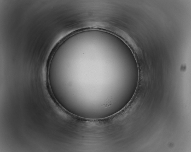 X0000103261032200809051438