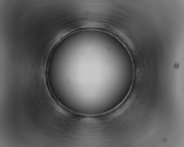 X0000103261033200809051438