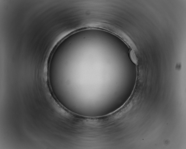 X0000103261036200809051438