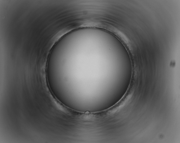 X0000103261041200809051438