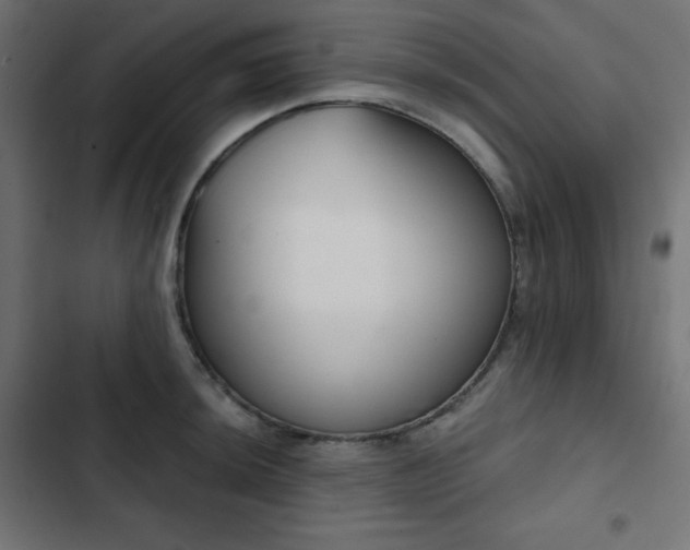 X0000103261044200809051439