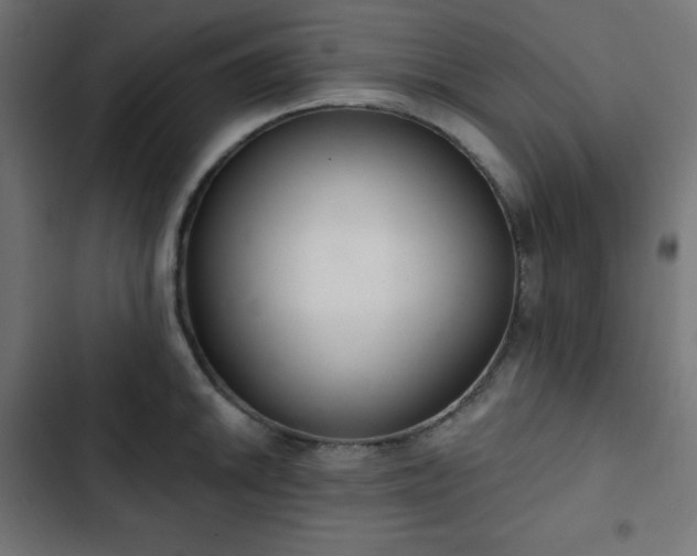 X0000103261046200809051439