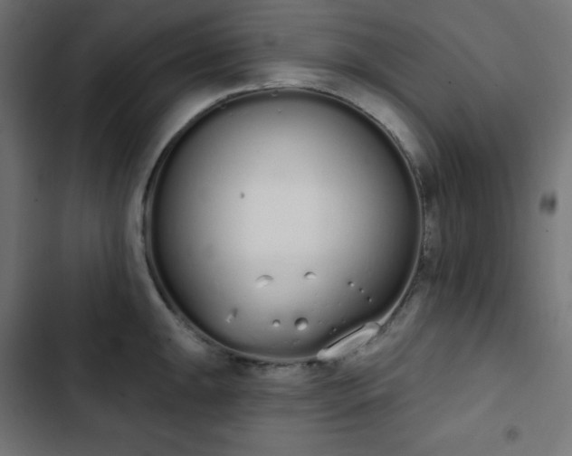 X0000103261047200809051439