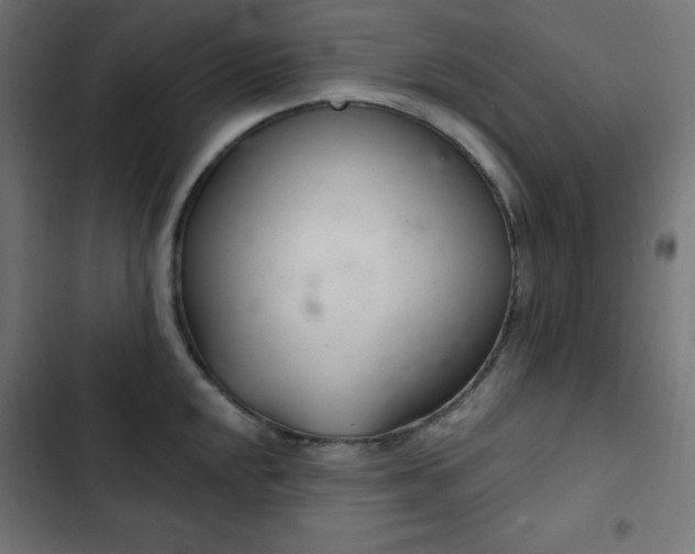 X0000103261048200809051439