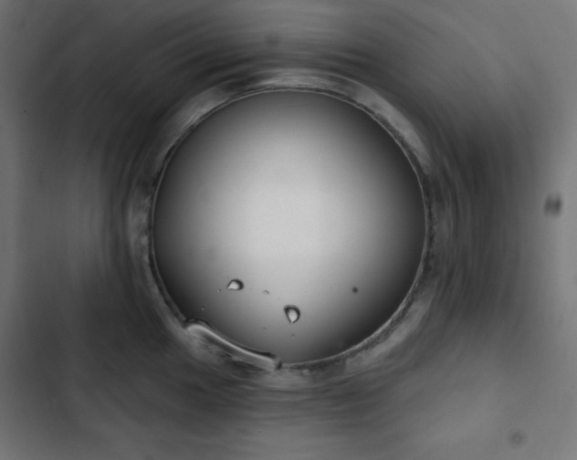 X0000103261049200809051439