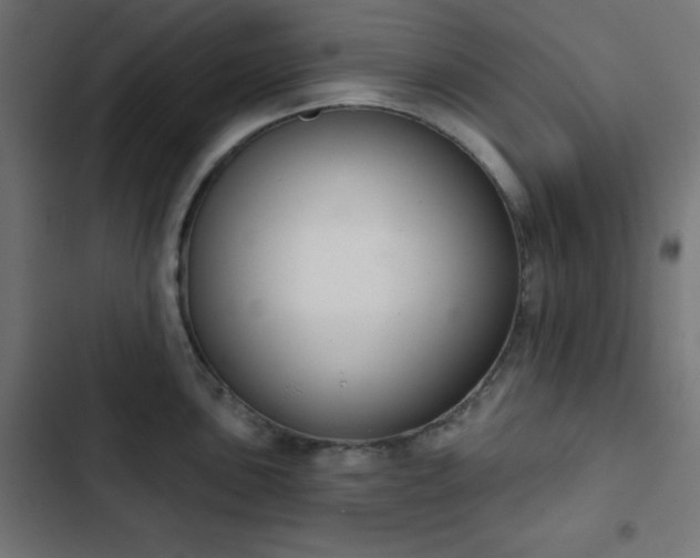 X0000103261051200809051439