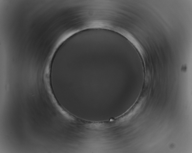 X0000103261053200809051439