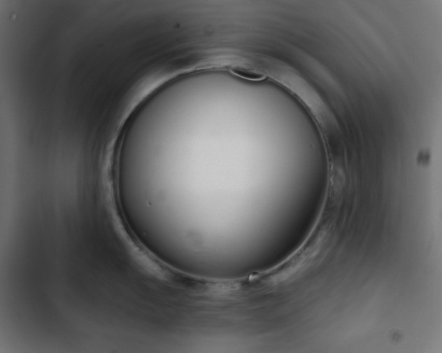 X0000103261055200809051439