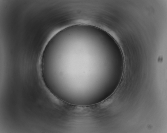 X0000103261056200809051439