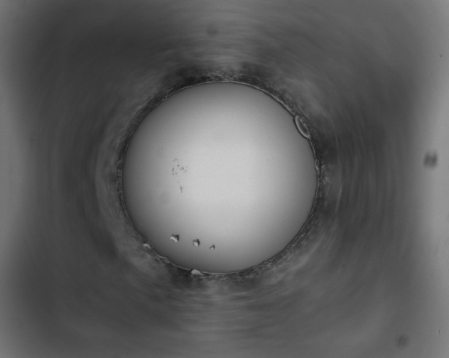 X0000103261057200809051438