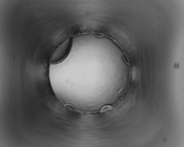 X0000103261059200809051438