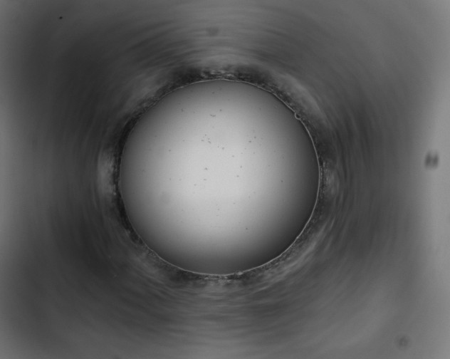 X0000103261060200809051438