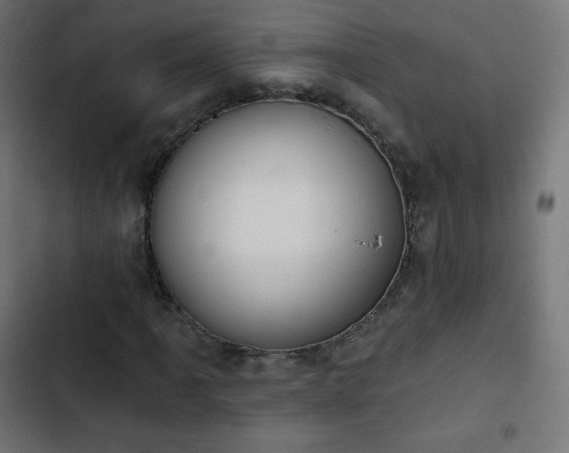 X0000103261061200809051438