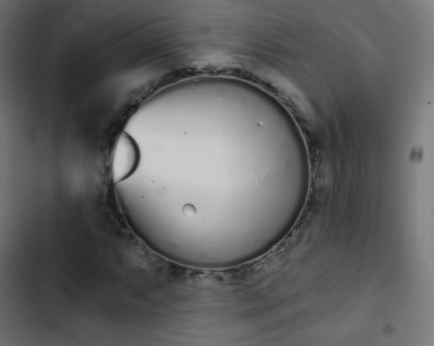 X0000103261063200809051438