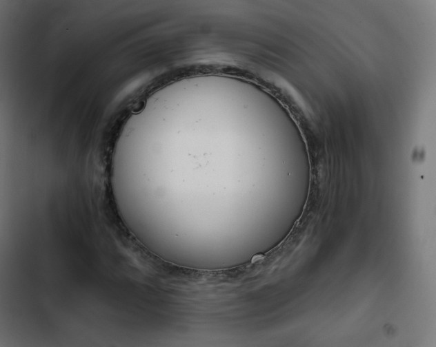 X0000103261064200809051438