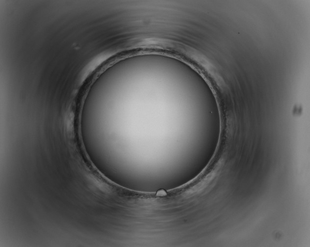 X0000103261066200809051438