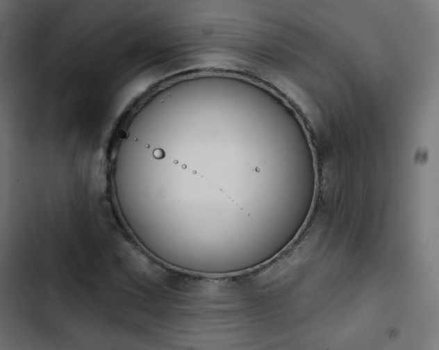 X0000103261067200809051438