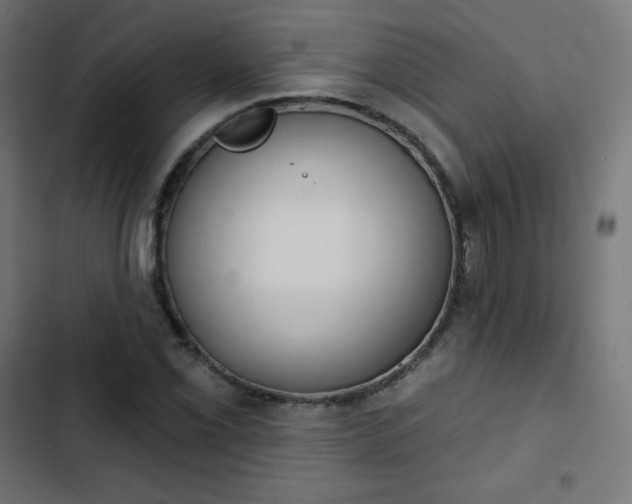 X0000103261069200809051438