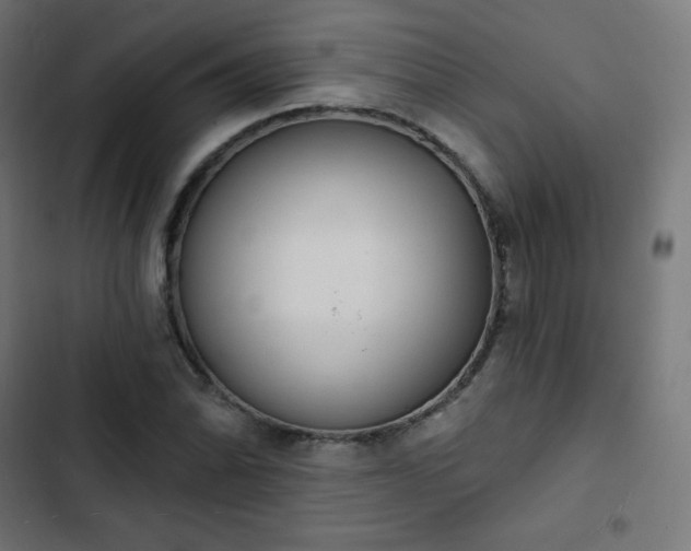 X0000103261070200809051438