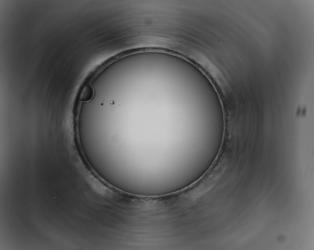 X0000103261072200809051438