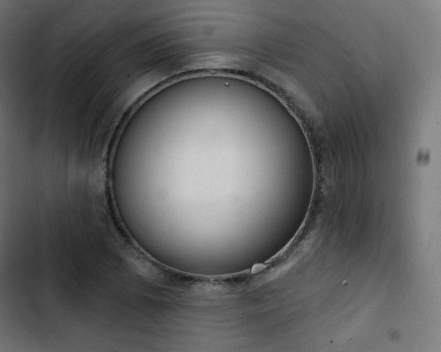 X0000103261073200809051438