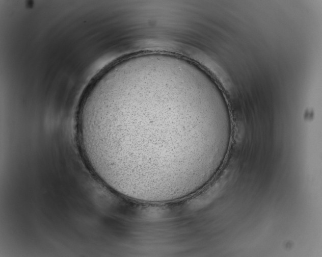 X0000103261074200809051438