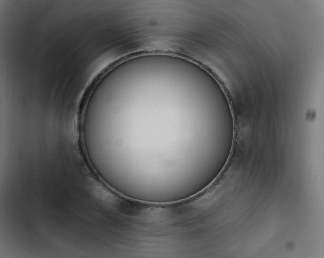 X0000103261075200809051438