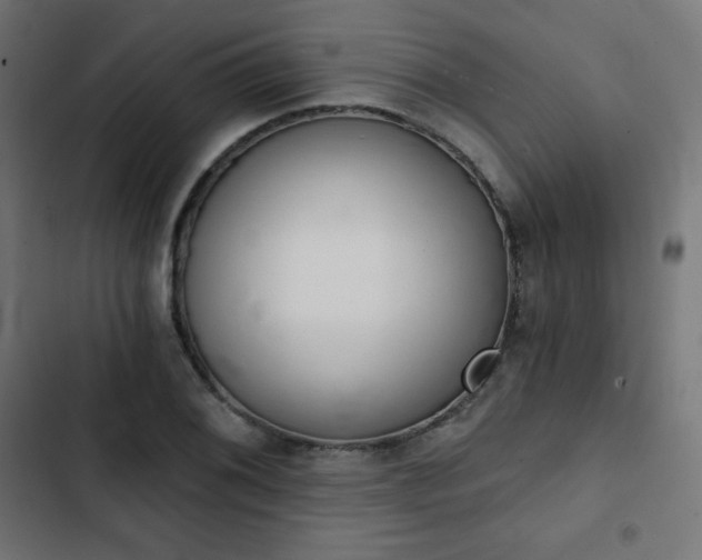 X0000103261076200809051438