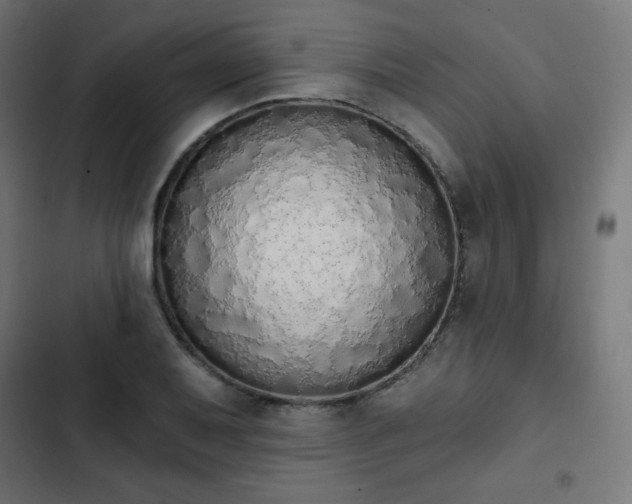 X0000103261079200809051438