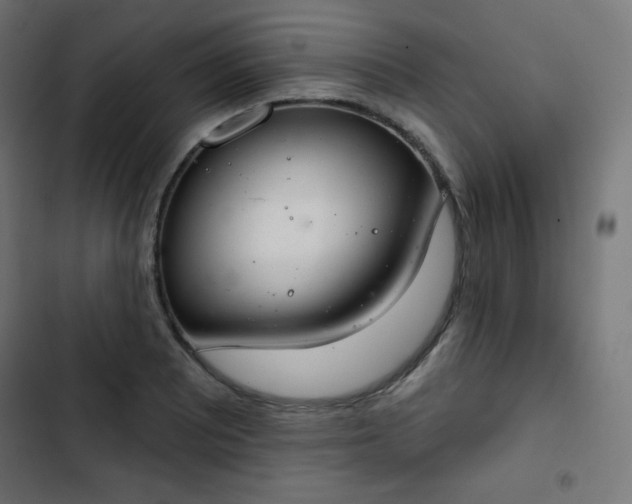 X0000103261081200809051438