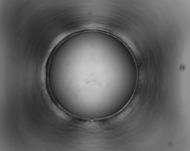 X0000103261082200809051438