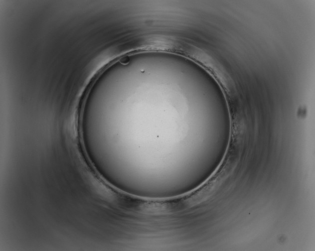 X0000103261083200809051438