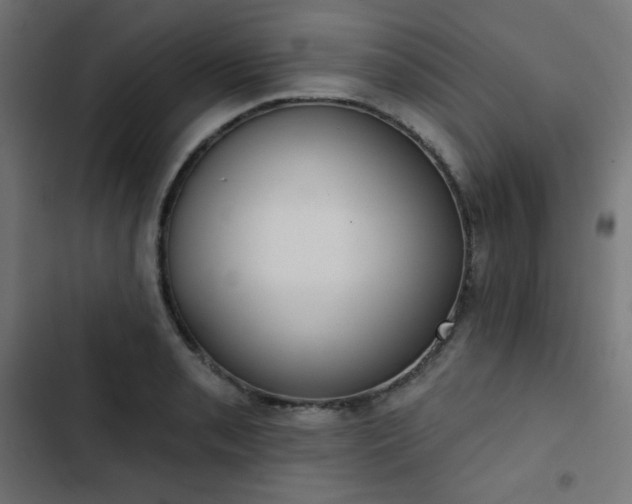 X0000103261085200809051438