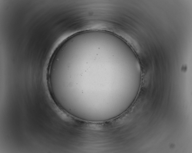 X0000103261086200809051438