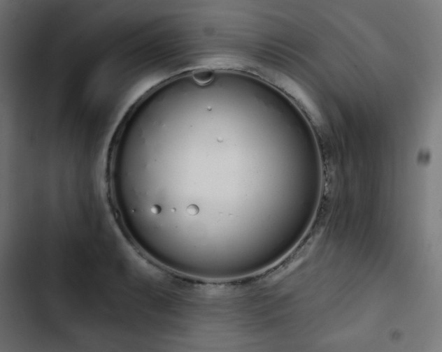 X0000103261087200809051438